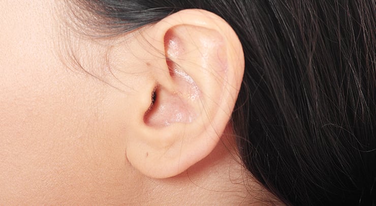 Woman's beautiful ear.